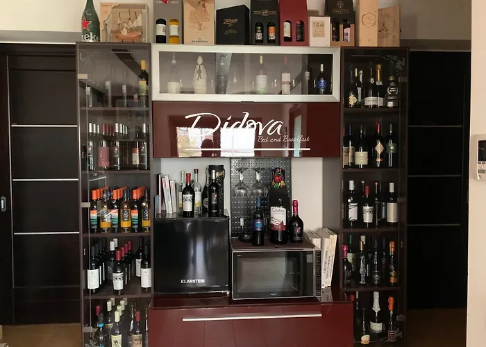 住宿加早餐酒店 Didova